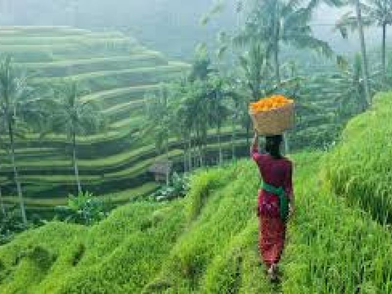 Kişiye Özel / 7 Gece - 9 Gün | BALİ - NUSA PENİDA - UBUD Turu