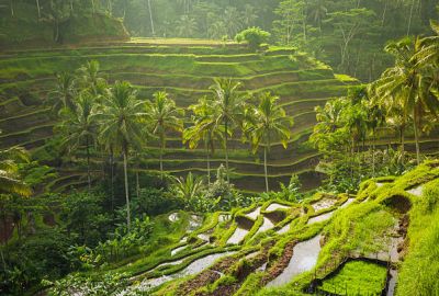 Kişiye Özel / 7 Gece - 9 Gün | BALİ - GİLİ - UBUD Turu